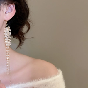 Detailed view of elegant crystal beaded fringe tassel earrings on model with warm tones