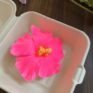 Detailed close-up of a pink hibiscus flower clip with textured petals and yellow stamens