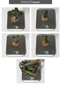 Detailed view of artificial desert plant models on a digital scale showing product weight