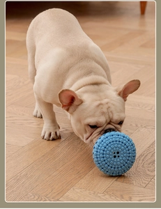 Gros plan d'une balle distributrice bleue pour chien sur un sol en bois