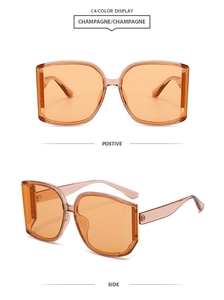 Vista detallada de las gafas de sol cuadradas de gran tamaño champán con montura retro de mariposa