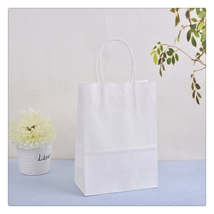 Minimalist white kraft paper gift bag with handles on a blue surface with green plant decor