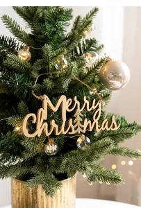 Close-up of wooden Merry Christmas hanging sign on mini pine tree with LED glass bulbs
