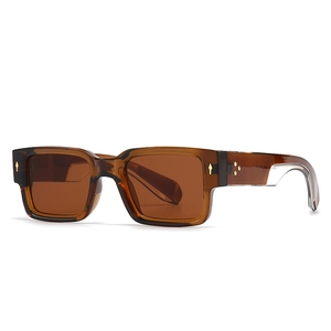 Brown translucent square sunglasses with gold rivet accents and tinted lenses
