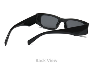 Detail of rectangular sunglasses temples showing model numbers and inner frame structure