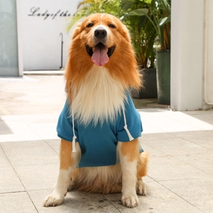 Blue pet hoodie with lion mane headpiece set on a Golden Retriever for large dogs