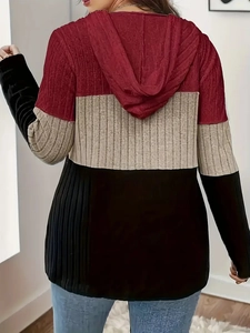 Back view of women's color block hooded knit sweater with ribbed texture and drawstring