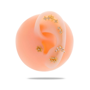 Golden stainless steel stud earrings with zircon crystals shown on an ear model