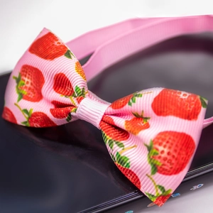 Close-up of pink strawberry pattern pet bowtie made of durable ribbed ribbon material