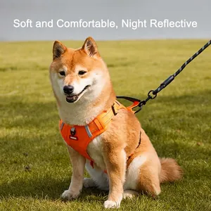 Dog Harness And Leash Reflective Adjustable No Pull Breathable Mesh Padded Handle Vest For Small Medium Large Dogs