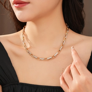Close-up of dual-tone gold and silver chain link necklace on model neck