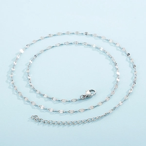 Detail van zilveren titanium stalen lipketting met karabijnsluiting en verlenging