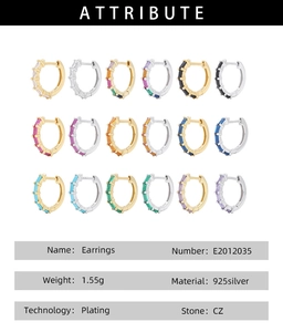 Matrix of rectangular cubic zirconia hoop earrings in 925 silver with eighteen color variants