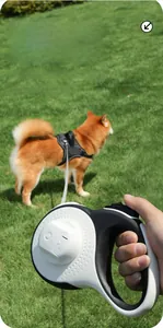 Detail view of ergonomic retractable dog leash with brake button on a green lawn