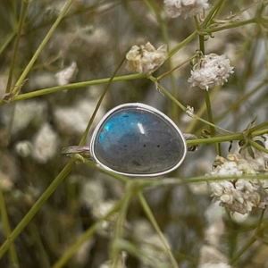 Macro shot of a 925 silver labradorite ring nestled in dried baby's breath flowers
