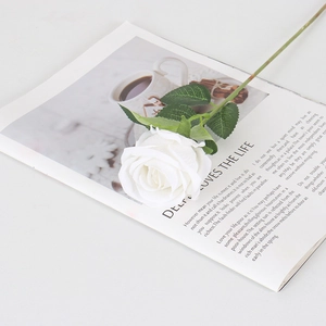 Elegante rosa blanca de terciopelo con perla sobre revista para decoración hogar