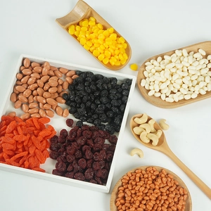 Variety of realistic PVC artificial grains, nuts, and dried fruit display models for props