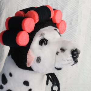 Close-up of creative pet headpiece with red sponge hair rollers on a dog mannequin