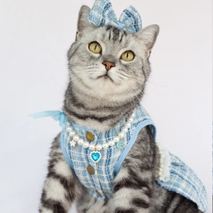 Detail of tweed pet dress set with matching bow headband and pearl heart necklace