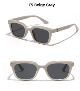 Macro shot of retro cat eye sunglasses in beige grey with silver rivet accents