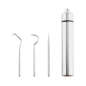 304 Stainless steel toothpick set with 3 dental pick tools and portable storage case