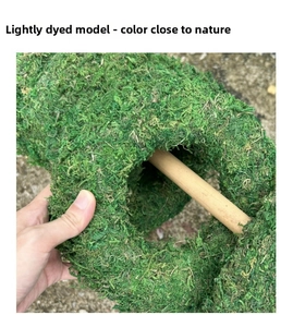 Detail of natural green moss pole with support stick for plant DIY and Christmas decor