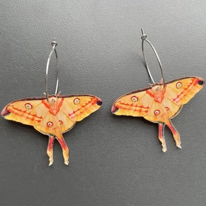Detail view of orange butterfly moth earrings with realistic wing patterns and silver hoops