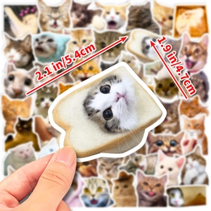 Detailed dimension view of a funny cat sticker in bread toast shape being held by hand