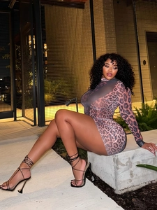 Sexy leopard print mesh mini dress with high neck and long sleeves for a stylish summer look