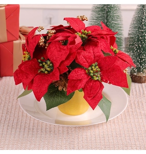 Detailed view of red Christmas poinsettia flower in yellow pot with gold berries decor