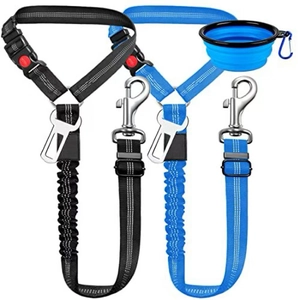 Vue détaillée des ceintures de sécurité en nylon pour chiens avec gamelle pliable en silicone