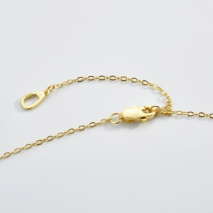 Macro detail of S925 sterling silver lobster clasp and extension chain on golden necklace