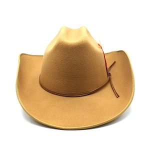 Detail of khaki wool felt western cowboy hat with brown leather rope and feather accent