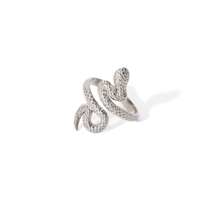 Detailed view of silver snake ring with intricate scale texture and minimalist design