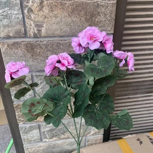 Detail of pink artificial geranium bouquet with variegated green leaves in a warehouse