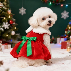 Detailed view of red velvet pet Christmas dress with green bow on Bichon Frise