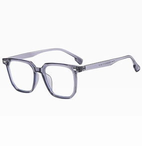 Detail of gray transparent eyeglass frame with SN3880 model and CE mark on the temple