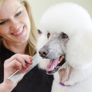 Stainless steel professional grooming comb for long haired dogs with dense metal teeth