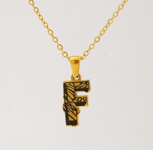 Macro view of gold F-letter pendant with black textured inlay on a steel cable chain