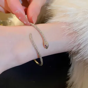 Zilveren slangenarmband met schubtextuur en rode kristallen ogen voor dames