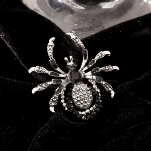 Detailed view of gothic silver spider brooch with black crystal inlay on velvet background