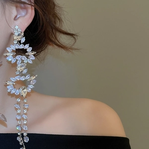 Close-up of elegant long silver rhinestone tassel earrings worn on a model's ear