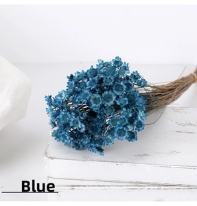 Detail of blue dried glixia flowers bundle showing natural petals and stems on white box