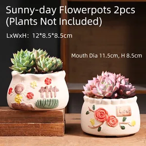 Detailed view of two embossed ceramic succulent pots with hand-painted floral motifs
