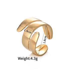 Detail mit 1,9 cm Breite und 1,8 cm Durchmesser des geometrischen 14K Goldrings