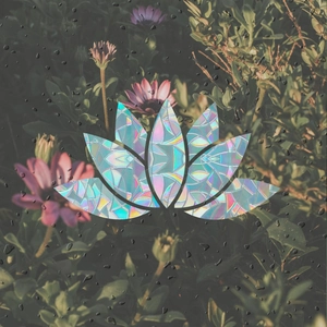 Rainbow prism lotus window film with holographic glass finish and colorful light effect