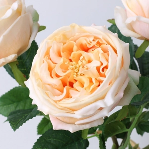 Macro detail of artificial Austin rose with lifelike moist texture and multilayered petals