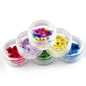 Close-up of six-color dried flower petals in round cases for nail art DIY decoration