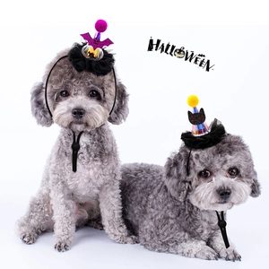 Halloween pet headband with glowing bat and pumpkin design for dogs and cats