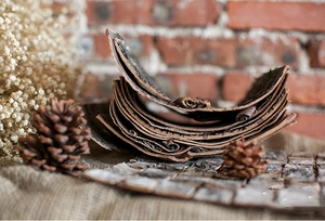 Macro shot of natural dried birch bark rolls with rustic textures for DIY forest decor